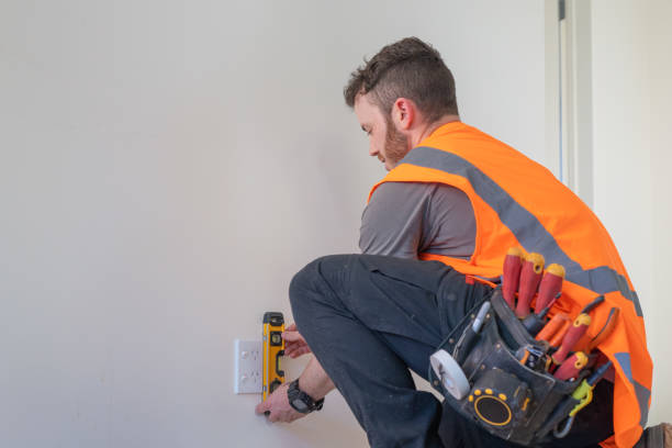 Best Generator Installation Services  in Holiday, FL